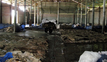 Rùng mình xưởng sơ chế da trâu, bò bốc mùi hôi thối - 2