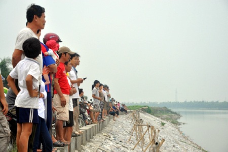 Thái Bình: Cá heo bơi lạc vào sông Trà Lý - 3 Thái Bình: Cá heo bơi lạc vào sông Trà Lý - 3