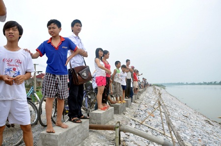 Thái Bình: Cá heo bơi lạc vào sông Trà Lý - 4 Thái Bình: Cá heo bơi lạc vào sông Trà Lý - 4