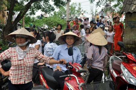 Thái Bình: Cá heo bơi lạc vào sông Trà Lý - 5 Thái Bình: Cá heo bơi lạc vào sông Trà Lý - 5