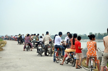 Thái Bình: Cá heo bơi lạc vào sông Trà Lý - 6 Thái Bình: Cá heo bơi lạc vào sông Trà Lý - 6
