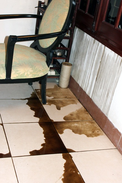 Một gia đình bị “khủng bố” bằng xăng và dầu nhớt giữa thủ đô - 1