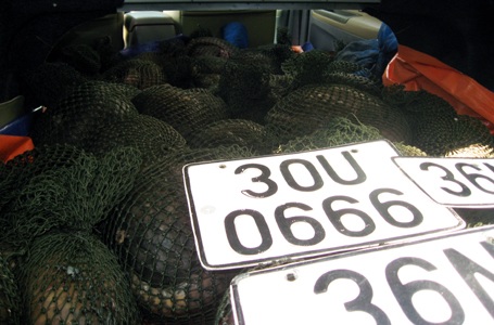 Phóng 140km/h truy đuổi xe biển xanh chở tê tê lậu - 1