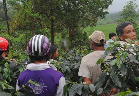 Nam thanh niên treo cổ tự tử trong vườn cà phê - 1 Nam thanh niên treo cổ tự tử trong vườn cà phê