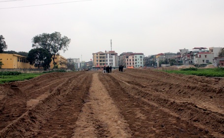 Hà Nội: Hàng trăm ngôi mộ bị vùi lấp trong đêm - 3 Hà Nội: Hàng trăm ngôi mộ bị vùi lấp trong đêm