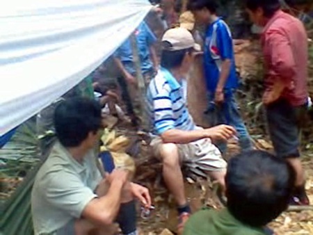 Video, hình ảnh “độc” hiện trường vụ 3 cây gỗ sưa bị đốn hạ - 1 Video, hình ảnh “độc” hiện trường vụ 3 cây gỗ sưa bị đốn hạ