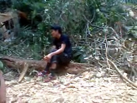 Video, hình ảnh “độc” hiện trường vụ 3 cây gỗ sưa bị đốn hạ - 2 Video, hình ảnh “độc” hiện trường vụ 3 cây gỗ sưa bị đốn hạ