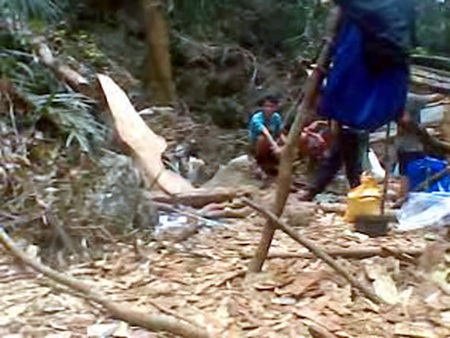 Video, hình ảnh “độc” hiện trường vụ 3 cây gỗ sưa bị đốn hạ - 4 Video, hình ảnh “độc” hiện trường vụ 3 cây gỗ sưa bị đốn hạ