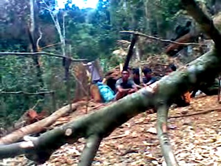Video, hình ảnh “độc” hiện trường vụ 3 cây gỗ sưa bị đốn hạ - 5 Video, hình ảnh “độc” hiện trường vụ 3 cây gỗ sưa bị đốn hạ