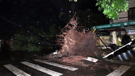 Cây đổ la liệt, giao thông hỗn loạn sau mưa lớn ở Thủ đô