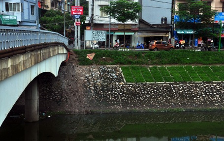 Nơi anh K. nhảy xuống sông tự tử.