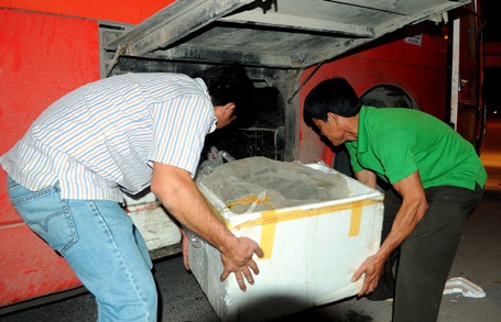 Số rắn hổ mang được giấu trong khoang chứa đồ của xe khách.