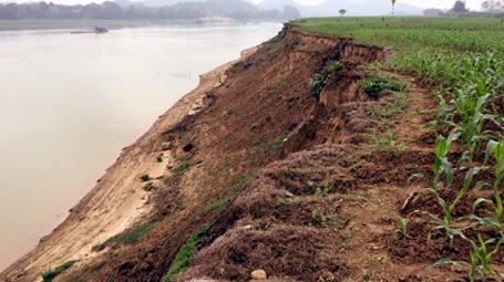 Bãi bồi bị sạt lở nghiêm trọng.