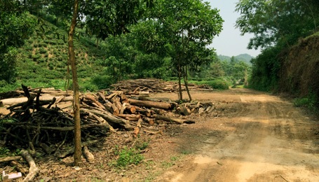 Vụ nghi án oan sai ở Thái Nguyên: Con dại, cái mang? - 1 Hiện trường xảy ra vụ việc là bãi củi nhà ông Nguyễn Văn Thái.