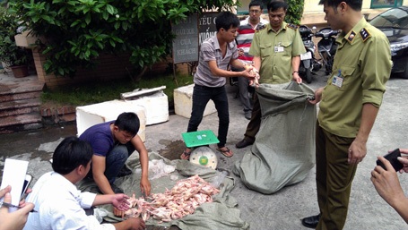 Lực lượng chức năng kiểm đếm số chim bồ câu không rõ nguồn gốc xuất xứ.