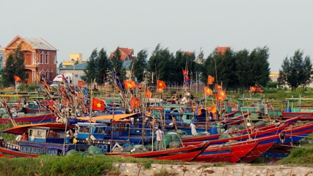 Toàn bộ tàu thuyền trên địa bàn tỉnh Thái Bình đã được neo đậu an toàn.