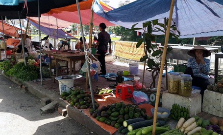 Đủ các mặt hàng ở chợ tự phát Cầu Lũ.