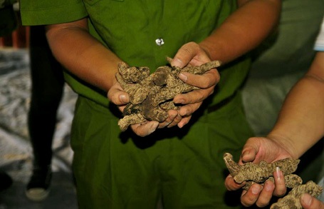 Có khoảng 120 loại nguyên liệu khác nhau trong số 70 tấn hàng.