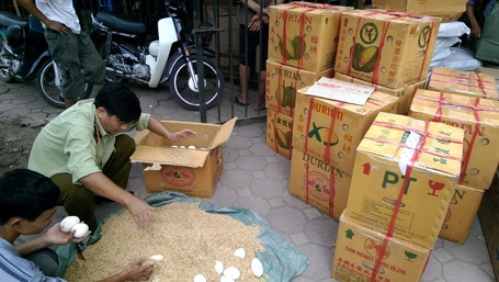 Lần đầu phát hiện vụ vận chuyển 1.500 quả trứng ngỗng “lậu” - 1 Lực lượng chức năng kiểm đếm số trứng ngỗng phát hiện trên xe tải.
