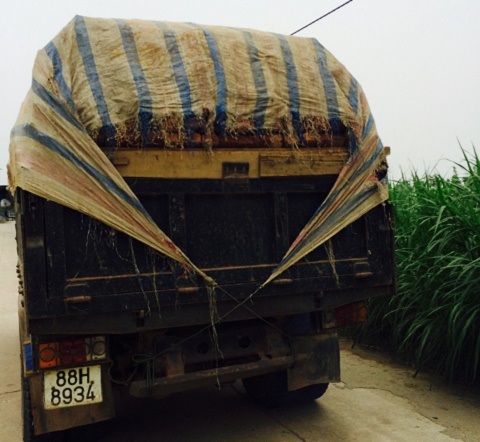 Những chuyến xe tải chở gạch trọng tải lờn chạy rầm rập cả ngày