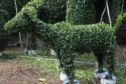 Quà Tết Ất Mùi: Tượng, tiền, cây… hình dê hút khách - 3 Quà Tết Ất Mùi: Tượng, tiền, cây… hình dê hút khách