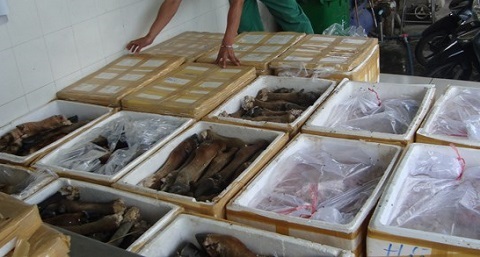 Bắt nửa tấn thịt bò đông lạnh có nguồn gốc từ Trung Quốc - 1 Thịt bò nhập lậu liên tục bị cơ quan chức năng bắt giữ trong thời gian qua