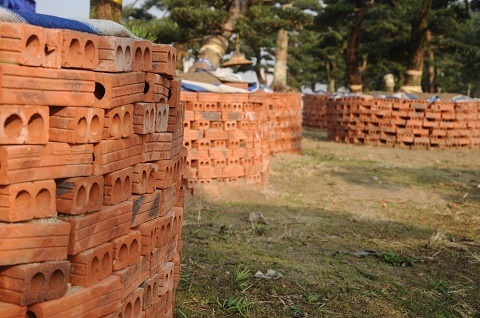 Chiêm ngưỡng vườn tùng tiền tỷ ở Hồ Tây - 7 Mỗi cây tùng được chủ nhân cho xếp gạch bao quanh gốc để tạo thành chiếc bồn lớn