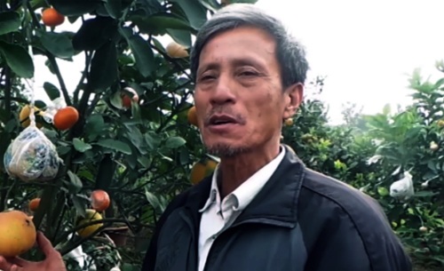 Chuyện về lão nông “phù phép” ra cây ngũ quả ở Hà Nội - 1 Lão nông dân tài hoa Lê Đức Giáp bên vườn cây cảnh lạ mắt
