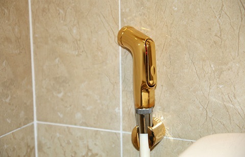 Đại gia tuổi Mùi chi tiền tỷ mạ vàng cả căn chung cư cao cấp - 9 Súng phun nước cũng hóa vàng