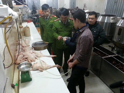 Rùng mình với cơ sở “phù phép” vịt thành vàng óng ở Hà Nội - 2 Hàng trăm con vịt bị thu giữ tại thời điểm kiểm tra đều chưa qua kiểm dịch