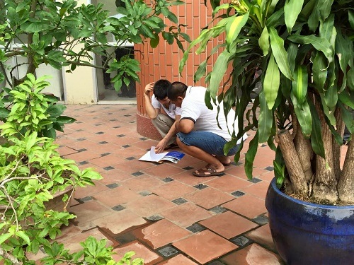 Cùng nhau bàn bạc những điểm chưa hiểu