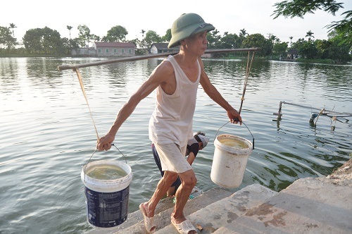 Hàng nghìn người dân Thủ đô sinh hoạt bằng... nước ao tù - 3 Người dân đang khát nước sạch, nên có nước ao dùng là tốt lắm rồi.