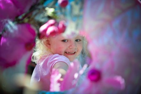 Khi những cô gái “tóc vàng hoe” diễu phố - 2 Khi những cô gái “tóc vàng hoe” diễu phố - 2