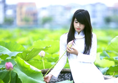 Thiếu nữ Hà Thành tự tình bên hoa sen - 5 Thiếu nữ Hà Thành tự tình bên hoa sen - 5