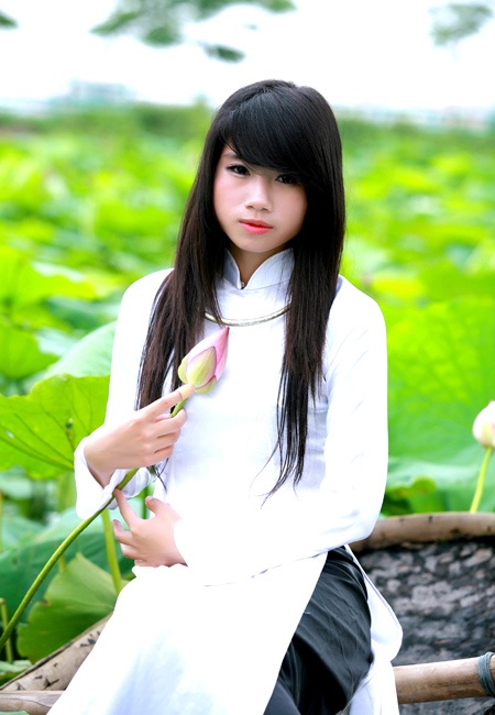 Thiếu nữ Hà Thành tự tình bên hoa sen - 11 Thiếu nữ Hà Thành tự tình bên hoa sen - 11
