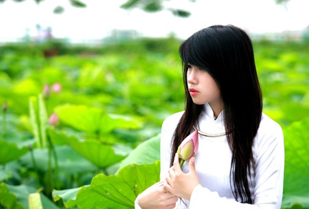 Thiếu nữ Hà Thành tự tình bên hoa sen - 12 Thiếu nữ Hà Thành tự tình bên hoa sen - 12