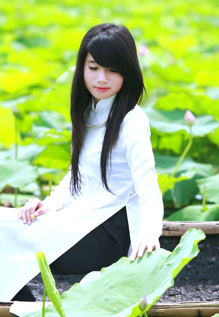 Thiếu nữ Hà Thành tự tình bên hoa sen - 16 Thiếu nữ Hà Thành tự tình bên hoa sen - 16