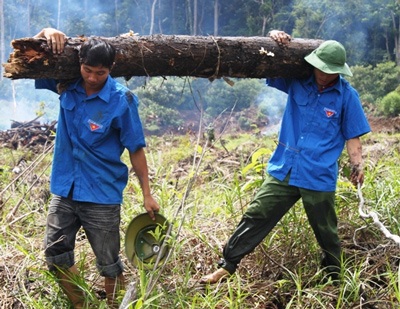 Tuổi trẻ Bình Định sẵn sàng ứng phó với thiên tai lũ, lụt - 1 Tuổi trẻ Bình Định sẵn sàng ứng phó với thiên tai lũ, lụt - 1