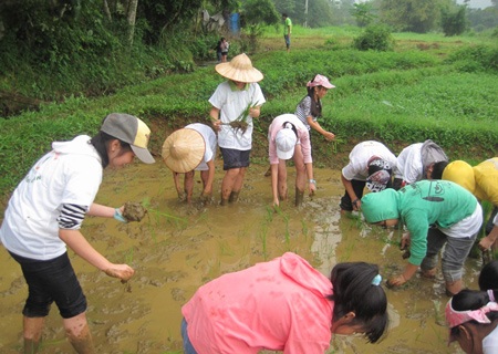 Khi học sinh thành thị được thử sức làm…nông dân - 1 Khi học sinh thành thị được thử sức làm…nông dân - 1