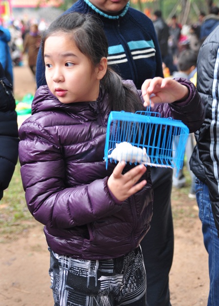 Bạn trẻ “say” tò he, cờ người tại hội Gò Đống Đa - 13