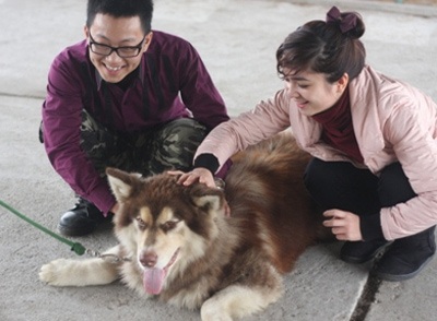 “Thiếu gia” Hà thành và thú chơi chó nghiệp vụ “khủng”