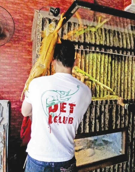 Bạn trẻ chơi... Rồng - 3 Bạn trẻ chơi... Rồng - 3