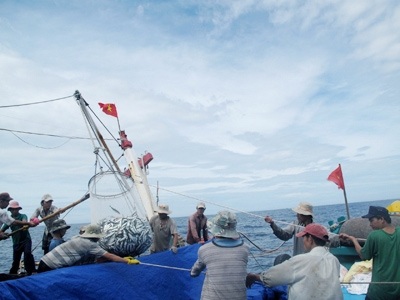 Tàu ĐNa 90444 thu mua hải sản ở Hoàng Sa.