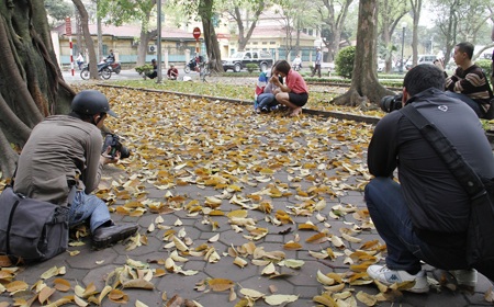 Giới trẻ Hà Thành tạo dáng cùng hoa sưa