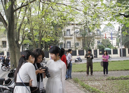 Giới trẻ Hà Thành tạo dáng cùng hoa sưa