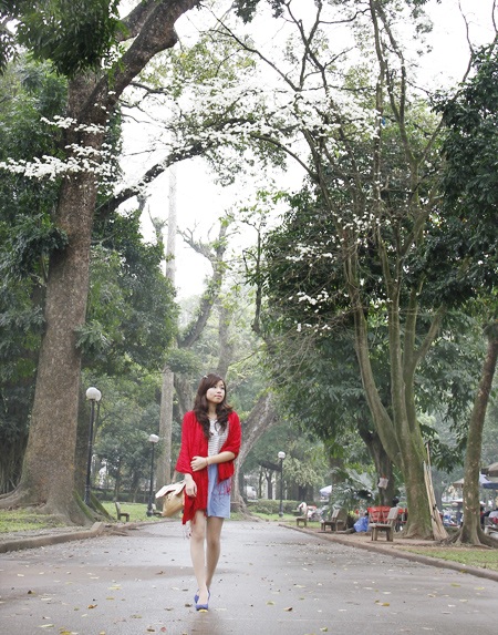 Giới trẻ Hà Thành tạo dáng cùng hoa sưa