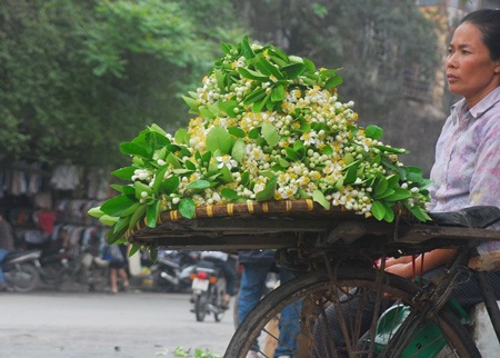 Hà Nội thanh khiết hương bưởi tháng Ba