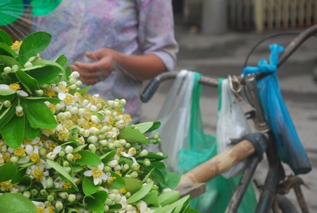 Hà Nội thanh khiết hương bưởi tháng Ba