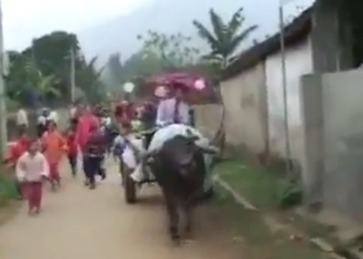 Cộng đồng mạng chúc phúc đám rước dâu bằng… trâu