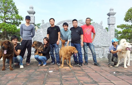 Thạc sỹ 8X đất Mỏ và trại chó Ngao Tạng bạc tỷ - 2 Hoàng và một số người cùng đam mê nuôi chó Ngao Tạng tại Quảng Yên, Quảng Ninh